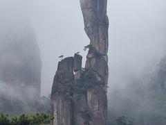 -三清山风景名胜区