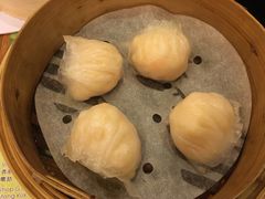 晶莹鲜虾饺-添好运点心专门店(深水埗店)