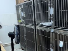 -芭比堂动物医院(广州爱宠下渡路分院)