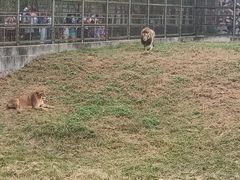 -宿豫区运河湾森林动物园