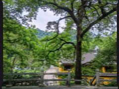 -素描餐厅(灵隐天竺店)