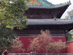 -报恩寺(平武县)