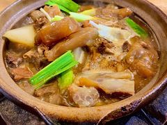 牛筋牛腩煲-十六蒲(桂林路店)
