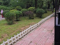 -二一九公园