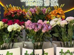 -狮拾久·现代新加坡料理(福田COCO Park店)