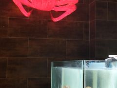 -樱之盛宴·蟹料理海鲜自助(前进大街店)