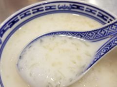 -大中鱼翅 Taitong Shark Fin