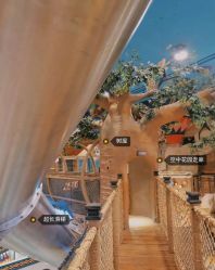 -卡通尼·Safari非洲探索乐园·生日会(金桥国际商业广场店)