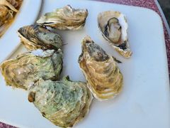 -星奇缘·海鲜餐厅(东山美食地标店)