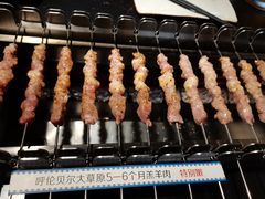 呼伦贝尔羊肉串-很久以前羊肉串(长寿路星方汇店)