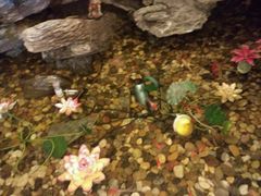 -固元堂(摩方分院)