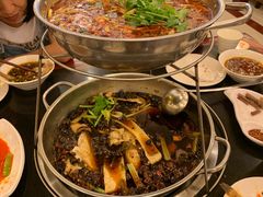 -川道拐耗儿鱼(旗舰店)