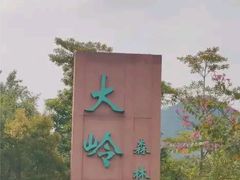 -东莞市大岭山森林公园