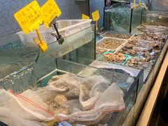 -日进一片海.生腌海鲜火锅.宵夜烧烤(三里屯总店)