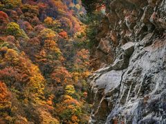 -秦岭风景区