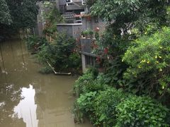 -小洲村