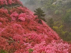 -木兰云雾山