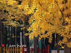 -北京国际鲜花港