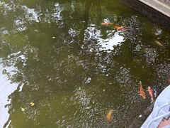 -四海公园(南山区)