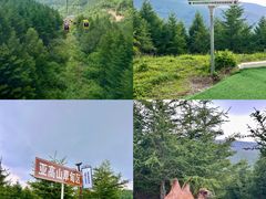 -红崖峡谷景区