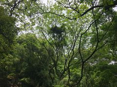 -杭州半山国家森林公园