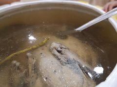 老鸭汤-姚林轩