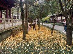 -报恩寺(平武县)