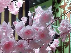 -学习谷日语培训日本留学·多语种外语教学(海淀人大分部)