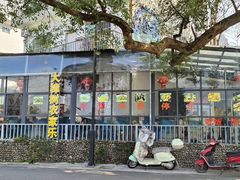 -遇龙河大樟树农家乐