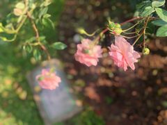 -人民公园(罗湖区)