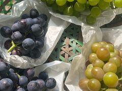 -马陆小张葡萄园农家乐