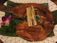 -紫滇源云南生态菜(丹凤街店)