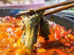 秘制藤椒酸菜锅-吃城都·鱼蛙火锅(西玉龙街店)