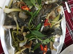 -QQ海鲜餐厅