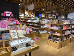 -九木杂物社(恒隆广场店)