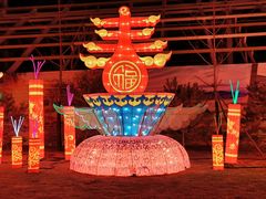 -南宫五洲植物乐园