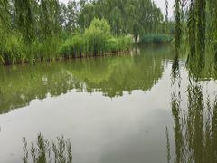 -林栖谷森林康养度假区