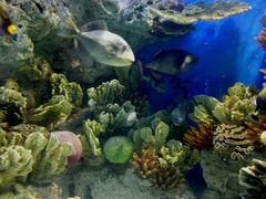 -福州罗源湾海洋世界旅游区