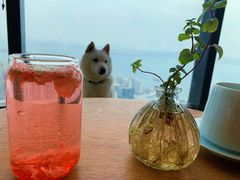 -柴犬小屋·柴餐厅·狗咖食堂(金鼎广场店)