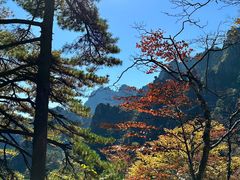 -黄山风景区