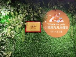 -小熊维尼高端儿童摄影(宝安旗舰店)