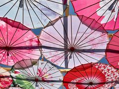 -呀路古热带植物园