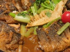 -老板恋上鱼(恒隆广场店)