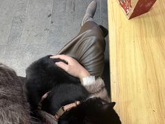 -兄弟鸡排.芋泥香酥鸭(淮海街店)