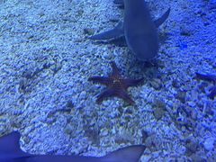 -太平洋海底世界