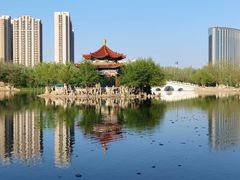 -青城公园