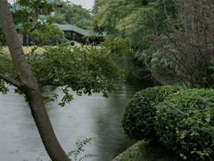 -桂湖森林公园