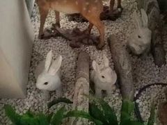 -二分八云雁阁•新晋菜大同味(长治路店)