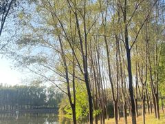 -东郊湿地公园