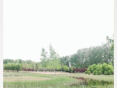 -东郊湿地公园